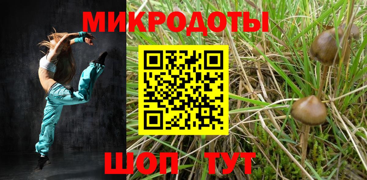 Галлюциногенные грибы мухоморы  Вход с VPN  Тайшет  Псилоцибиновые грибы Psilocybine cubensis 